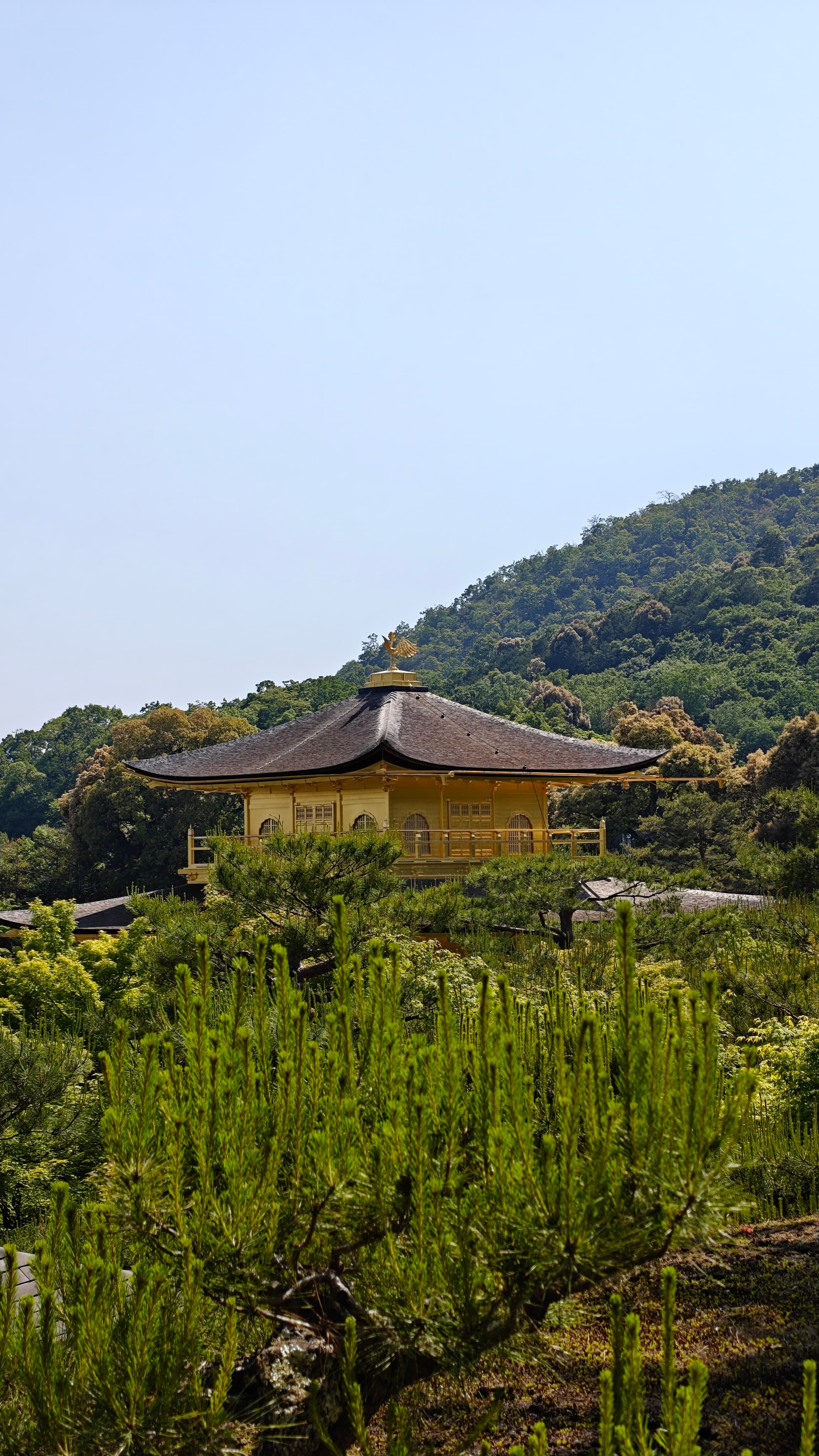 Japan 2025 - Photo 3