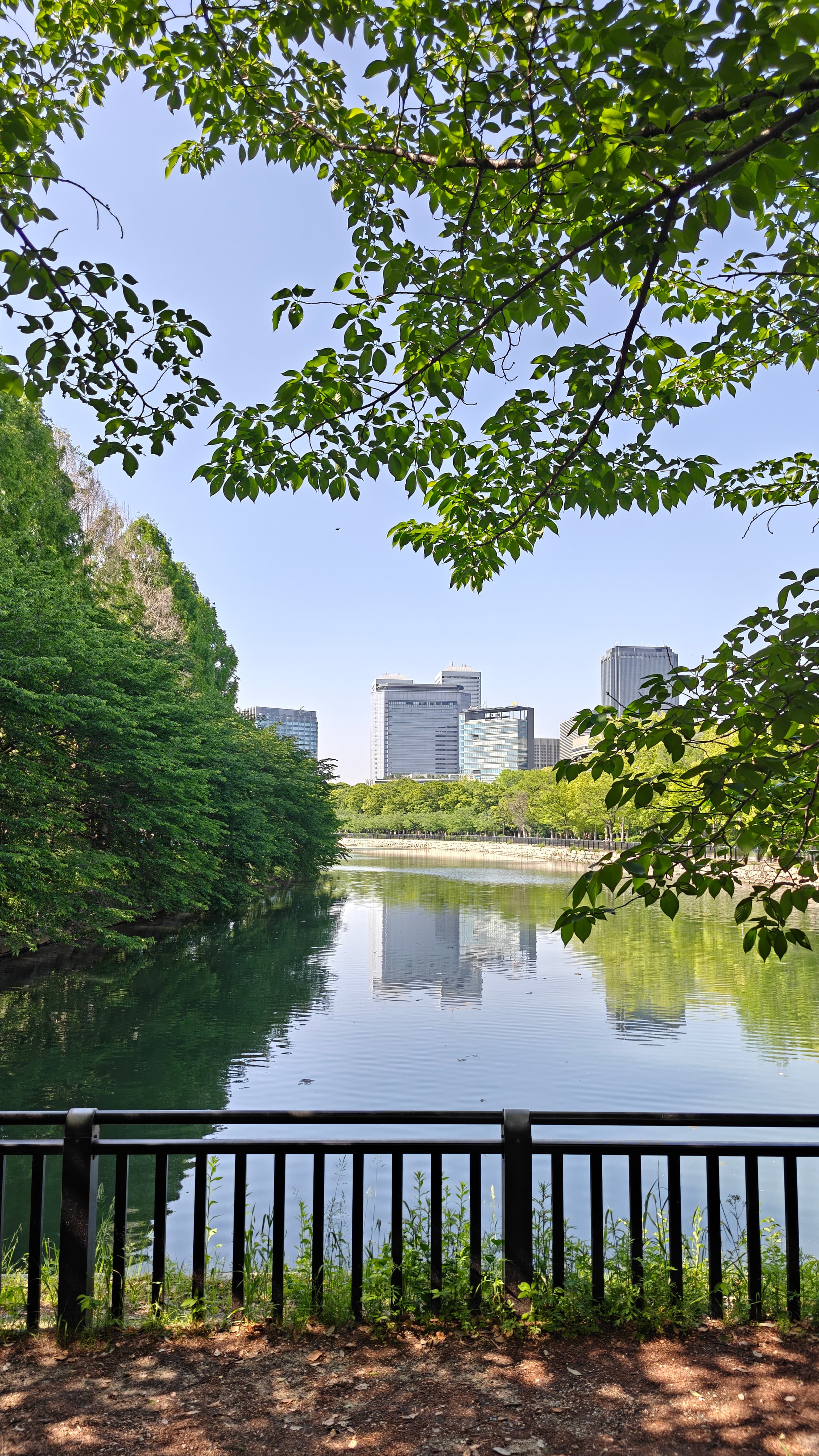 Japan 2025 - Photo 5